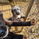 20251126-fotos-keanu-25