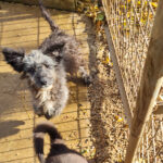 20251126-fotos-keanu-26