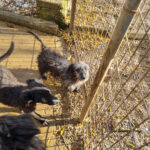 20251126-fotos-keanu-27