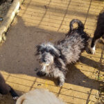 20251126-fotos-keanu-30