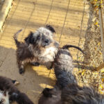 20251126-fotos-keanu-32