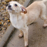 20251126-fotos-sassy-10