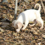 20251126-fotos-skipper-13