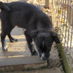 20251126-fotos-sushi-4