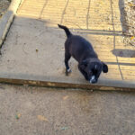 20251126-fotos-sushi-5