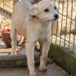 20251126-fotos-suzuki-2