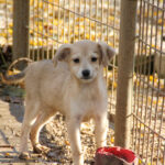 20251126-fotos-suzuki-6