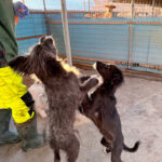 20251228-fotos-kalea-1