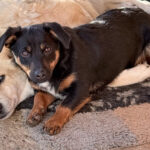 20251228-fotos-roxana-2