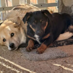 20251228-fotos-roxana-3