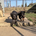 20251228-fotos-roxana-4