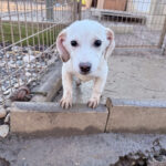 20251228-fotos-skipper-1