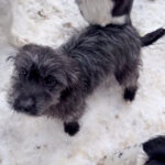 20260105-fotos-kairo-3