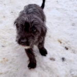 20260105-fotos-kairo-4