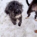 20260105-fotos-kairo-5