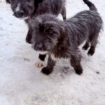 20260105-fotos-kairo-6