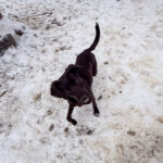 20260105-fotos-kalea-1