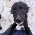 20260105-fotos-kalea-2