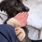 20260105-fotos-kalina-2