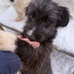 20260105-fotos-kalina-4