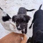 20260105-fotos-kalina-5