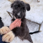 20260105-fotos-kalina-6