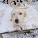 20260105-fotos-kasper-1