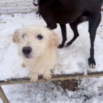 20260105-fotos-kasper-7