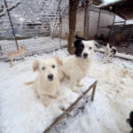 20260105-fotos-kasper-8