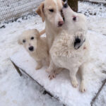 20260105-fotos-kasper-9