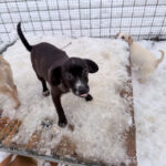 20260105-fotos-sushi-3