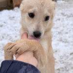 20260105-fotos-suzuki-2