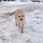 20260105-fotos-suzuki-3