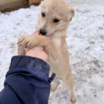 20260105-fotos-suzuki-4