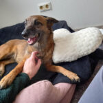 20260127-fotos-nisha-01