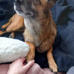 20260127-fotos-nisha-03