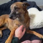 20260127-fotos-nisha-05