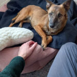 20260127-fotos-nisha-06