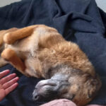 20260127-fotos-nisha-07