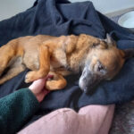 20260127-fotos-nisha-08