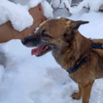 20260127-fotos-nisha-10