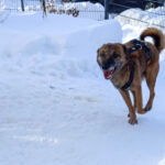 20260127-fotos-nisha-11