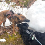 20260208-fotos-nisha-01