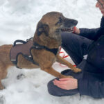 20260208-fotos-nisha-02