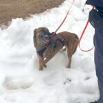 20260208-fotos-nisha-04