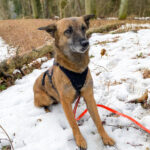 20260208-fotos-nisha-06