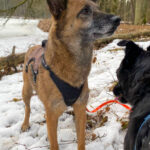 20260208-fotos-nisha-07