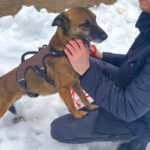 20260208-fotos-nisha-12