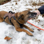 20260208-fotos-nisha-13