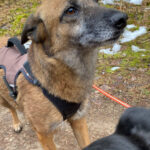 20260208-fotos-nisha-14